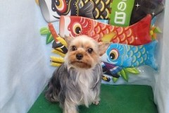 『さらさらにしてもらいました☆』