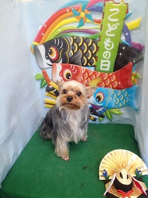 『さらさらにしてもらいました☆』