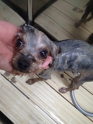 『パックは外せません！！』