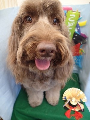 『カットもしてもらってサッパリ☆』