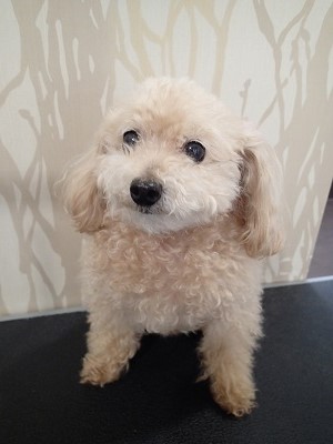 『今回もよろしくねー！』