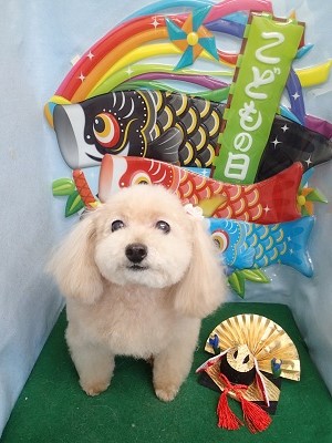 『今日のリボンも可愛いでしょ♪』