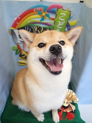 『抜け毛もスッキリ☆気持ち良かったー！！』