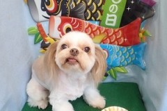 『真っ白☆さっぱりしたぁ♪』