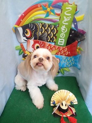 『真っ白☆さっぱりしたぁ♪』