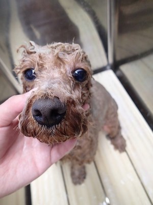 『これは気持ちいいんだけどね。』