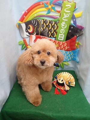 『キレイに整えてもらいました！』