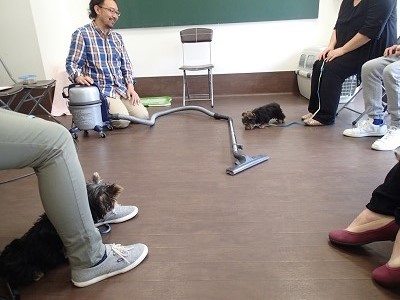 掃除機に慣れる練習②