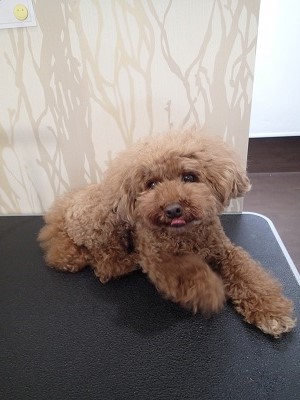 『なんか初めてな気がしないね♪』