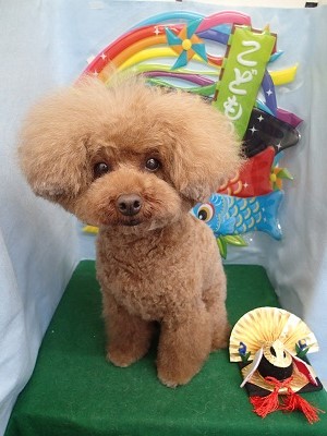 『スッキリしましたー♪』