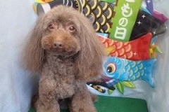 『サッパリしました☆もう暑いもんねー』