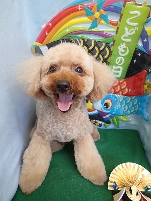 『サッパリしましたー！！』