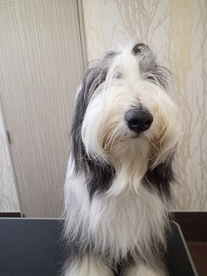 『しっかり綺麗になっておかないと！！』 