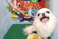 『スッキリして気持ちいい～♪』