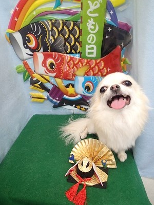 『スッキリして気持ちいい～♪』