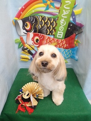 『可愛くなったー？』