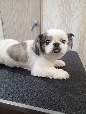 『バッサリいつもみたいにね☆』