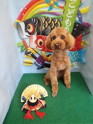 『短くスッキリしたー♪』