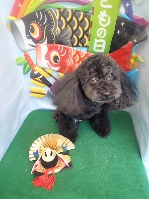 『あたしも頑張ったでしょ?』