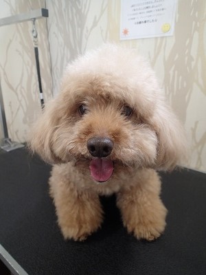 『かなり伸びてます!』