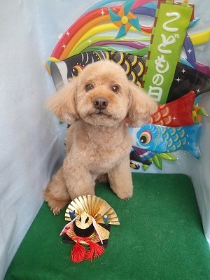 『バッサリカットしてもらいました!』