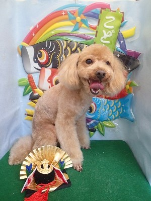 『今日もいっぱいだねー♪』