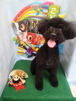 『みんな背中気にし過ぎだよー。』