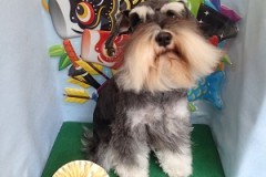 『サラサラできれいでしょ♪』