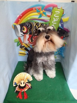 『サラサラできれいでしょ♪』