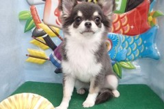 『サッパリして気持ち良い～♪』