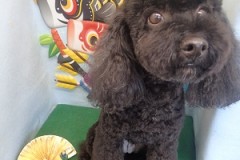 『いやー、きれいになったー♪』