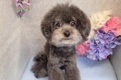 『大変だったみたいだね。』