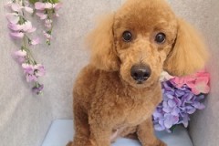 『うん！バッチリ☆』