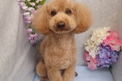 『全身スッキリ☆』