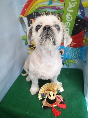 『今日は頑張りました!!』