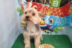 『暑いからこれくらいが良いよね！』