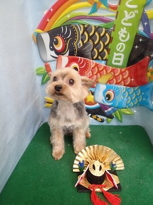 『暑いからこれくらいが良いよね!』