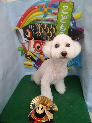 『スッキリしてもらいました☆』