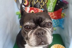 『はぁ。もーいつも突然…』