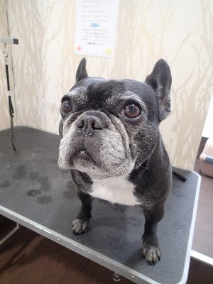 『え?今日シャンプー?!』