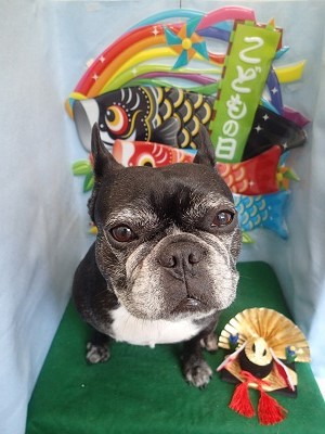 『はぁ。もーいつも突然…』