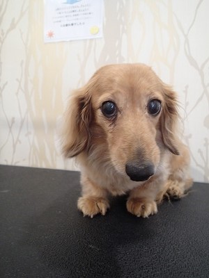 『今日も頑張るわね☆』