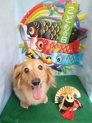 『サラサラになりました!!』