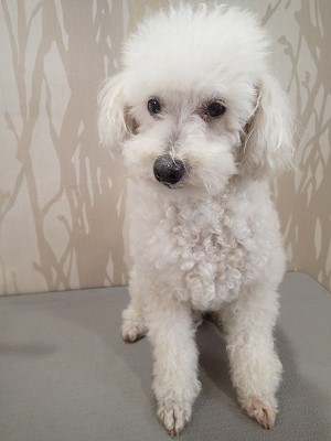 『今日はどうしようかなー。』