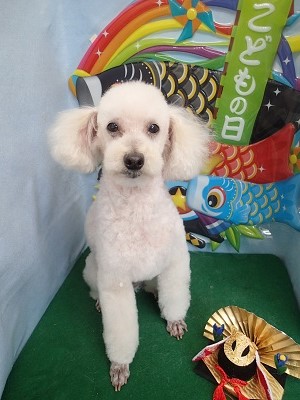 『真っ白スッキリ☆』