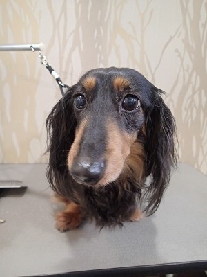 『去年みたいによろしく!!』