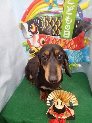 『今年もサマーカットです☆』