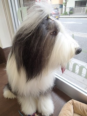 『お迎え待ってるよー』