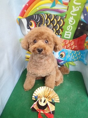 『サッパリしたわ☆』