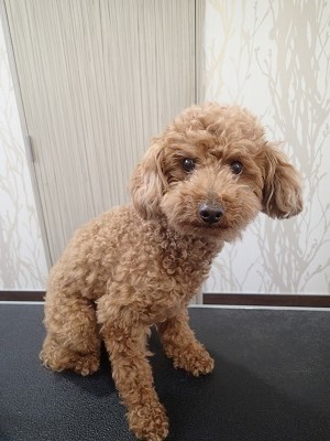 『なんか暑いし、サッパリで!!』